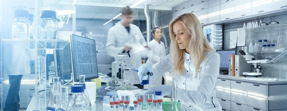 Hohe Messwerte bei ORAC-Analyse: Die antioxidative Wirkung von BERTRAND