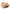 Bio-Shiitake (Pilzpulver)