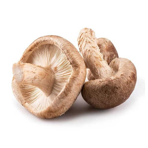 Bio-Shiitake (Pilzpulver)